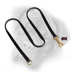 Nylon Bullmastiff leash with brass fittings