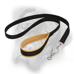 Quality Bullmastiff leash with brass HS snap hook