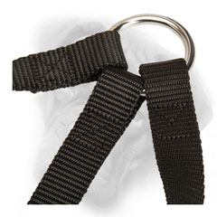 Superior Bullmastiff triple leash with sturdy nickel  O-ring
