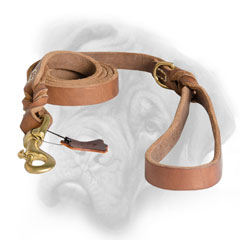 Wonderful Bullmastiff leash with brass D-ring in the  handle