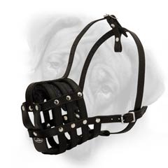 Exquisite design of this muzzle for your dog