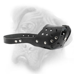 Bullmastiff professional leather muzzle