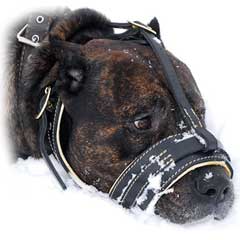 Cool leather muzzle