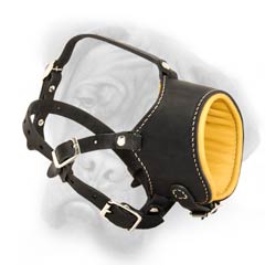 Versatile dog muzzle