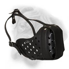 Best choice - leather muzzle