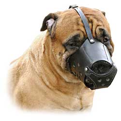 Muzzle is made of the pure leather