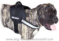 Reflective nylon dog harness for various needs