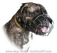 Super comfy Bullmastiff Wire Cage Dog Muzzle